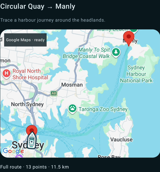 Actual Google Maps recording: a top-down ferry moves and turns along the Sydney harbour example