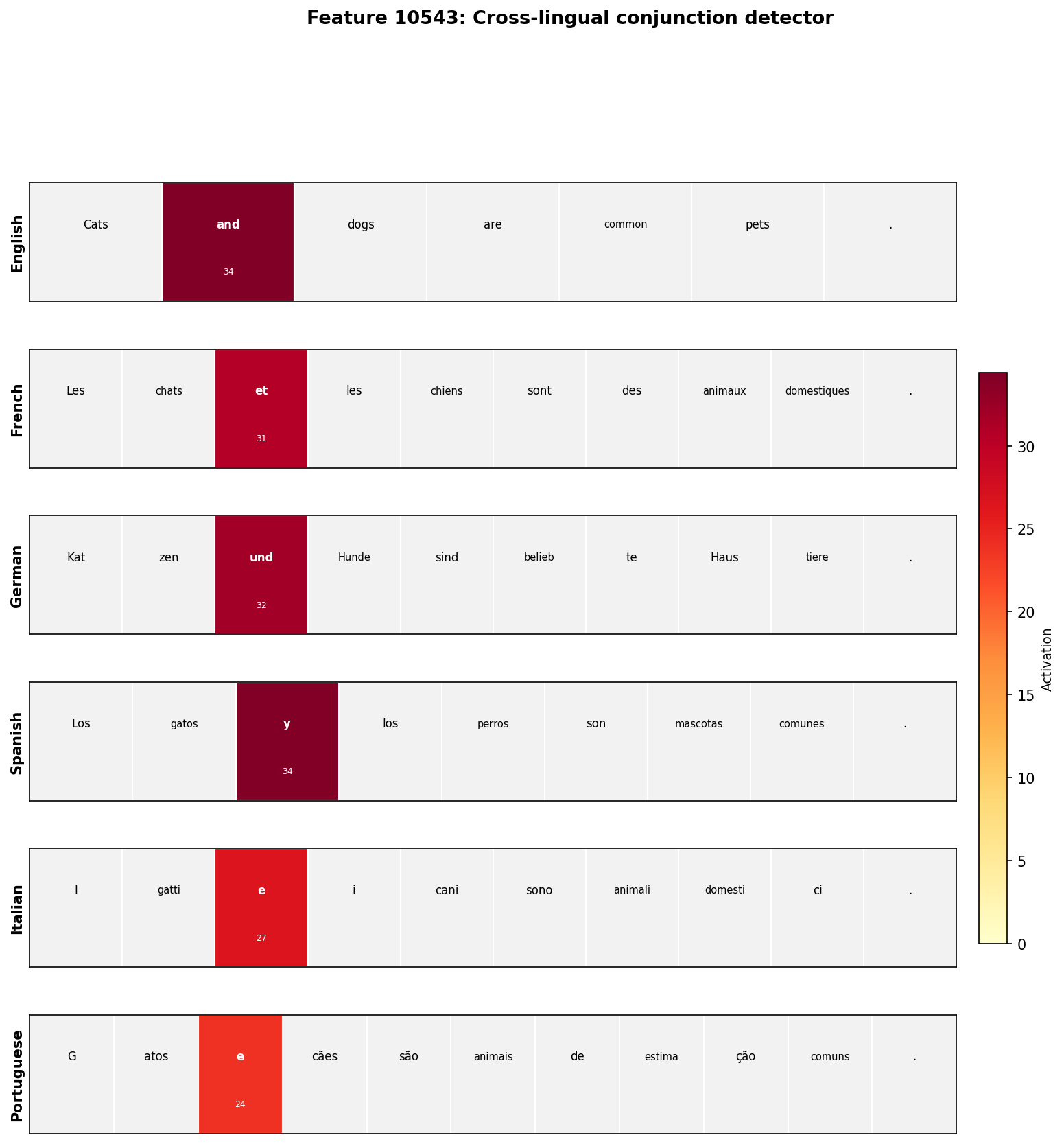 Heatmap showing Feature 10543 activating exclusively on conjunction words across six languages