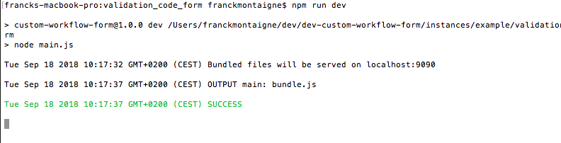 "npm run dev" result