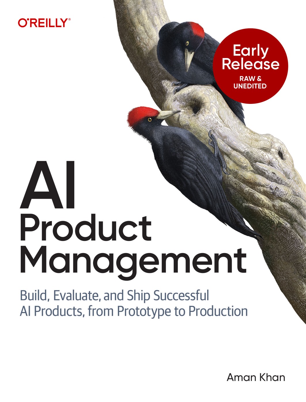 AI Product Management Book