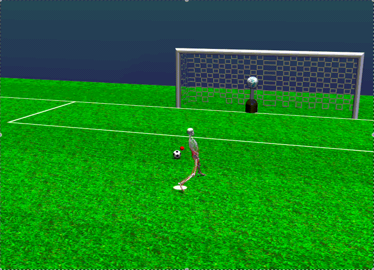 ./assets/high_level/soccer.gif
