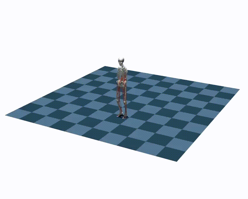 ./assets/kit/backwards.gif