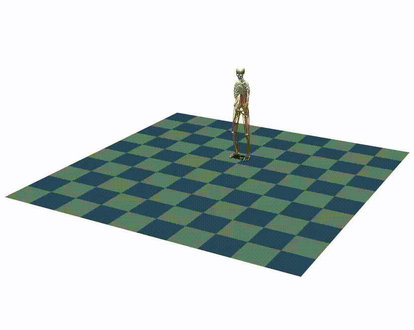 ./assets/kit/walk_forward.gif