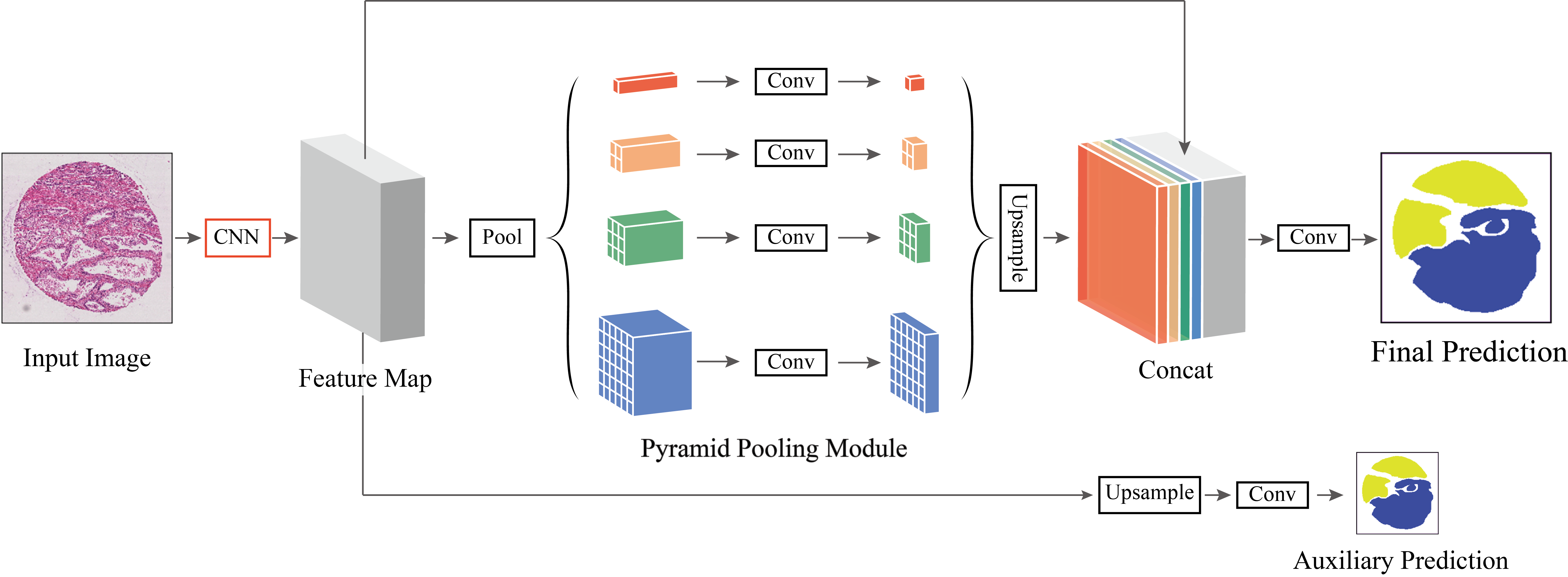 PSPNet