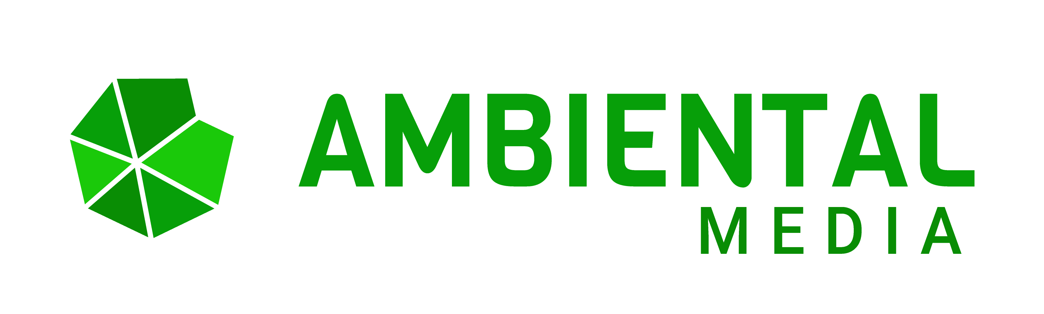 Logo Ambiental Media