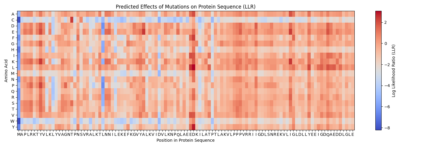 Protein Mutation Heatmap