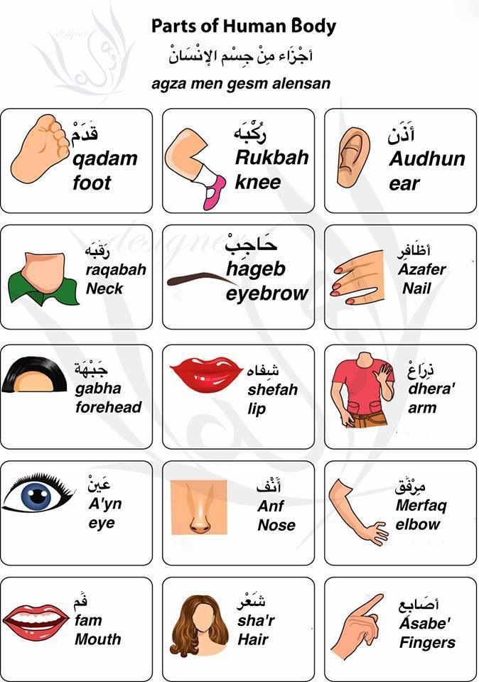 Education Image 6