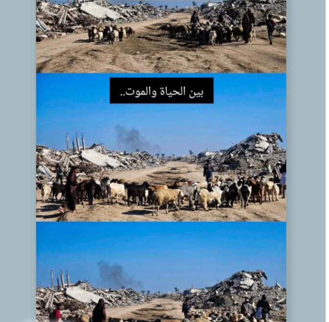 Image 47