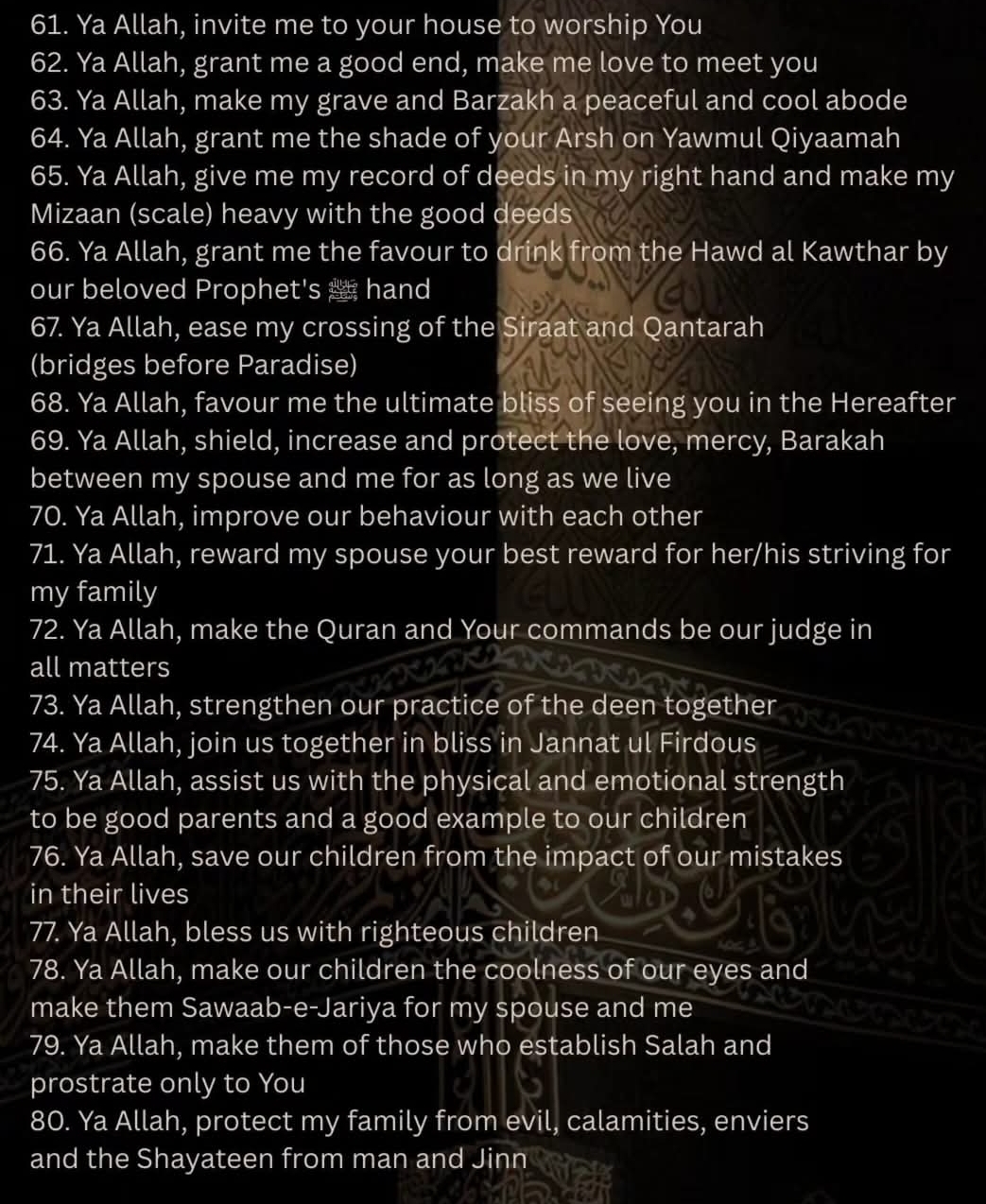 Gallery 3 Image 31