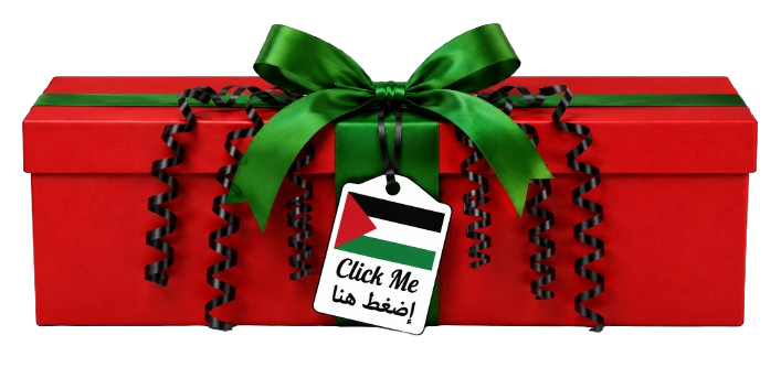 Red gift box with green ribbon and Palestine flag tag