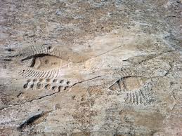 Al Jassasiya rock carvings in Qatar