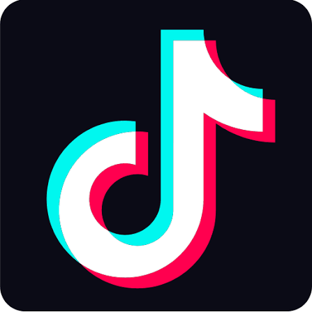 TikTok icon