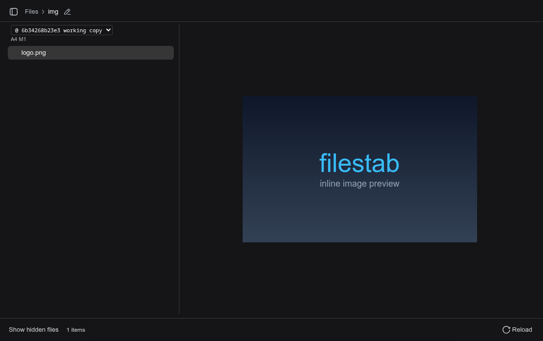 filestab rendering an image file inline in the View pane
