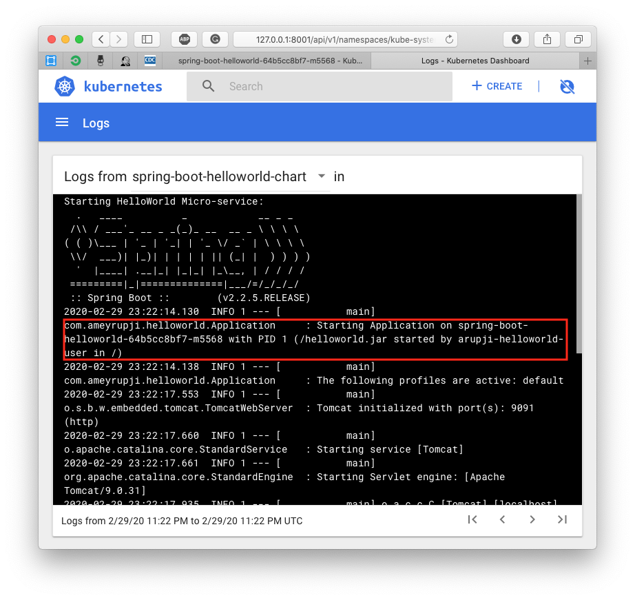 safari-dashboard-pod-logs