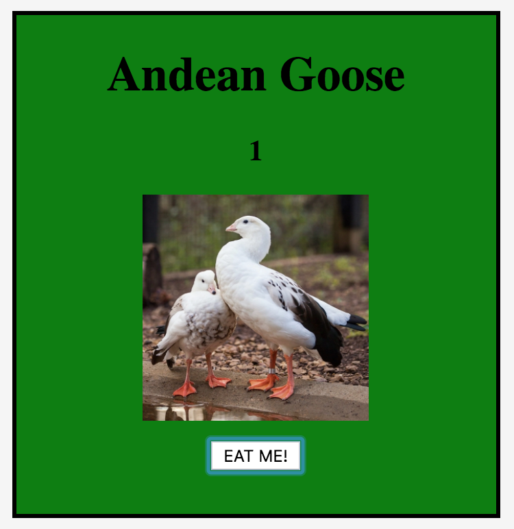 Oh no...the Snowy Owl has eaten one Andean Goose.