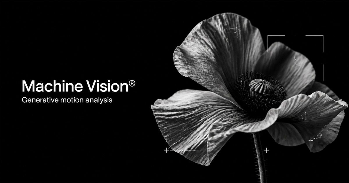 Machine Vision interface