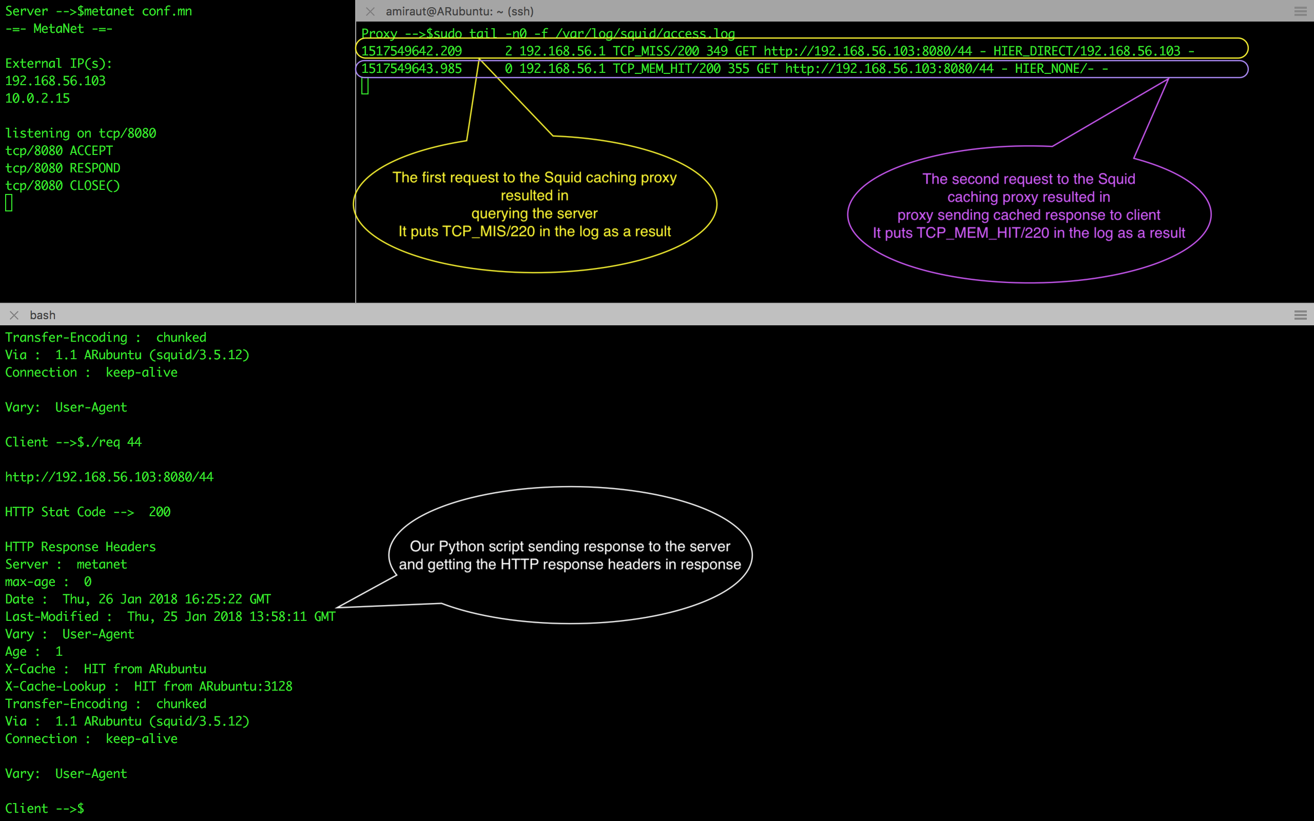 Squid Caching Proxy Setup