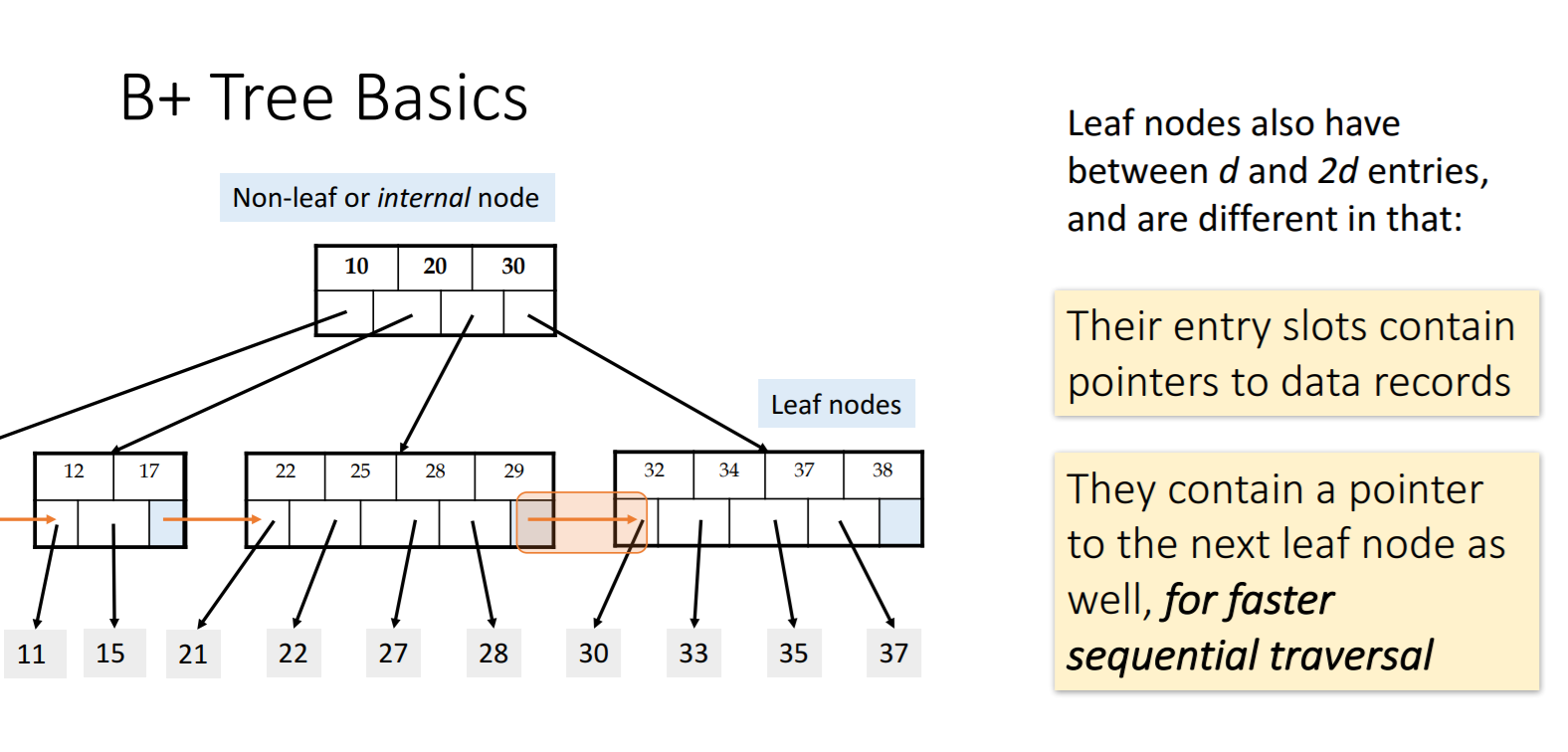 B+ TreeBasics