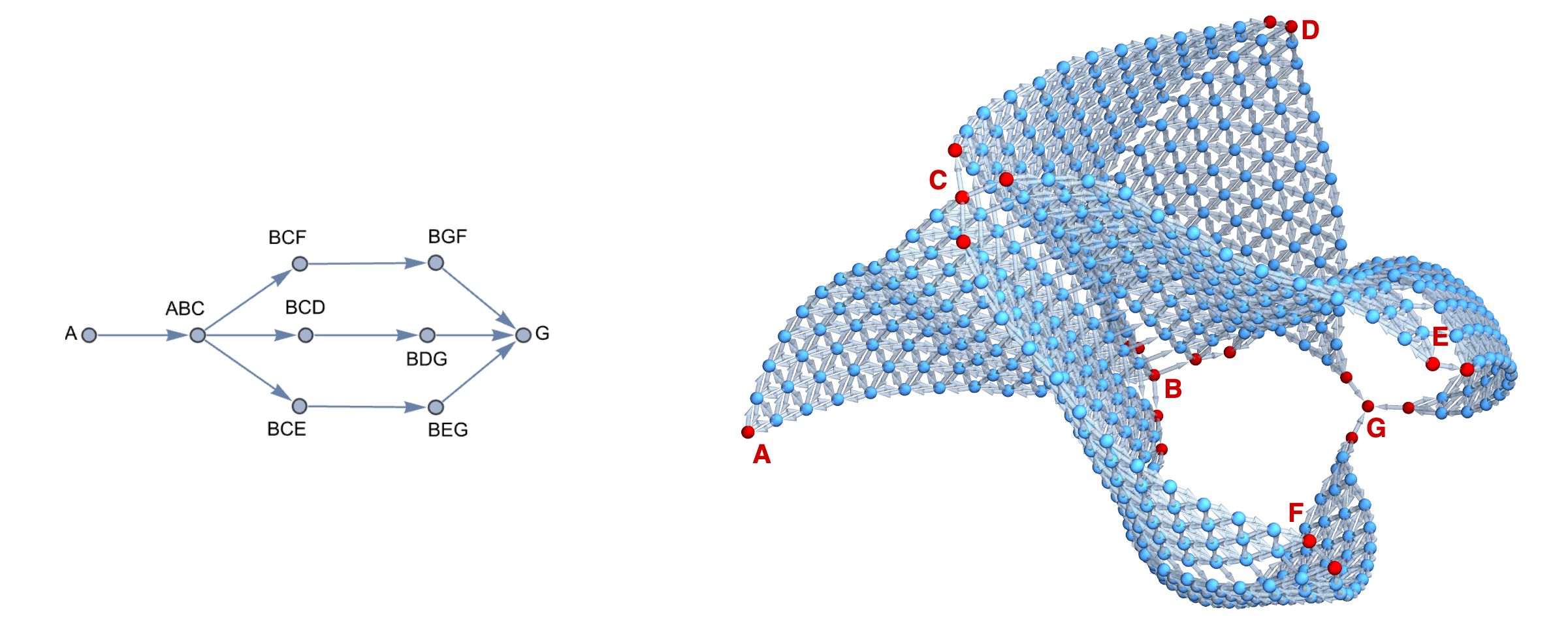 Simplex Graph Complex