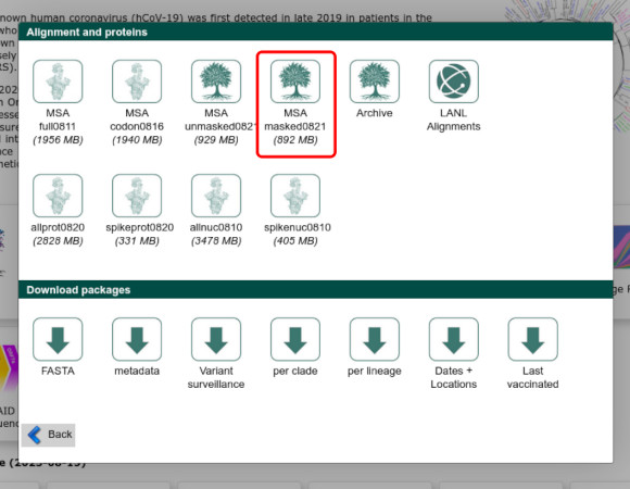 Screenshot from GISAID showing where to click to get the masked MSA