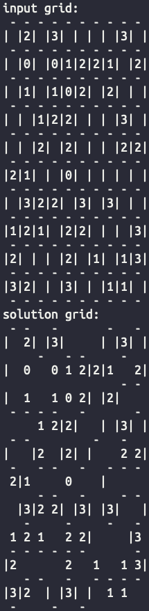 Solver Output