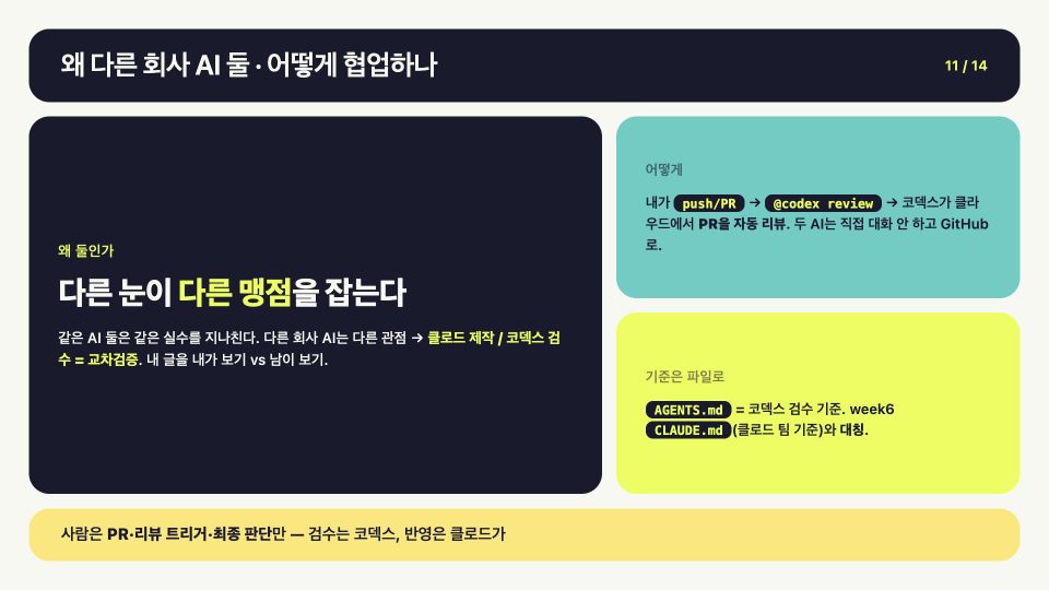 밈 삽입 전: 서로 다른 AI의 관점이 서로 다른 맹점을 잡는다고 설명하는 슬라이드