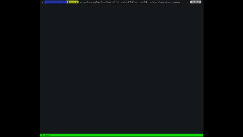 amruth-sn/kong cover