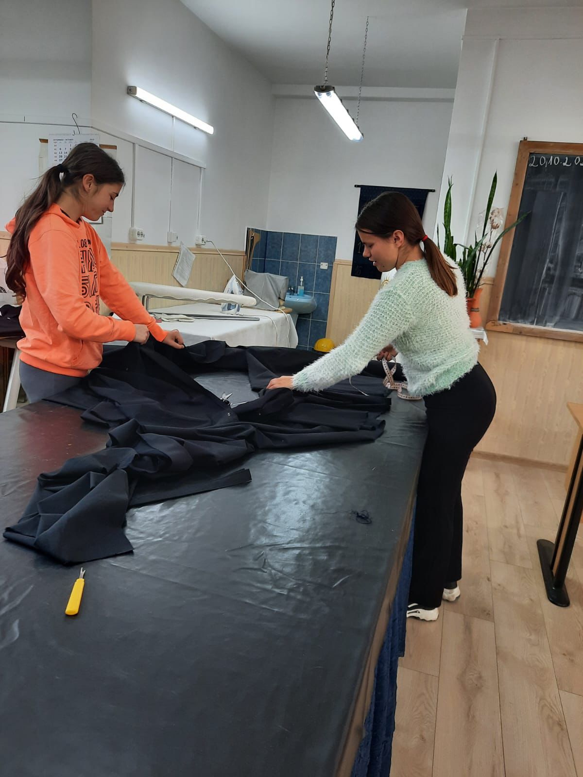 Activitate practică