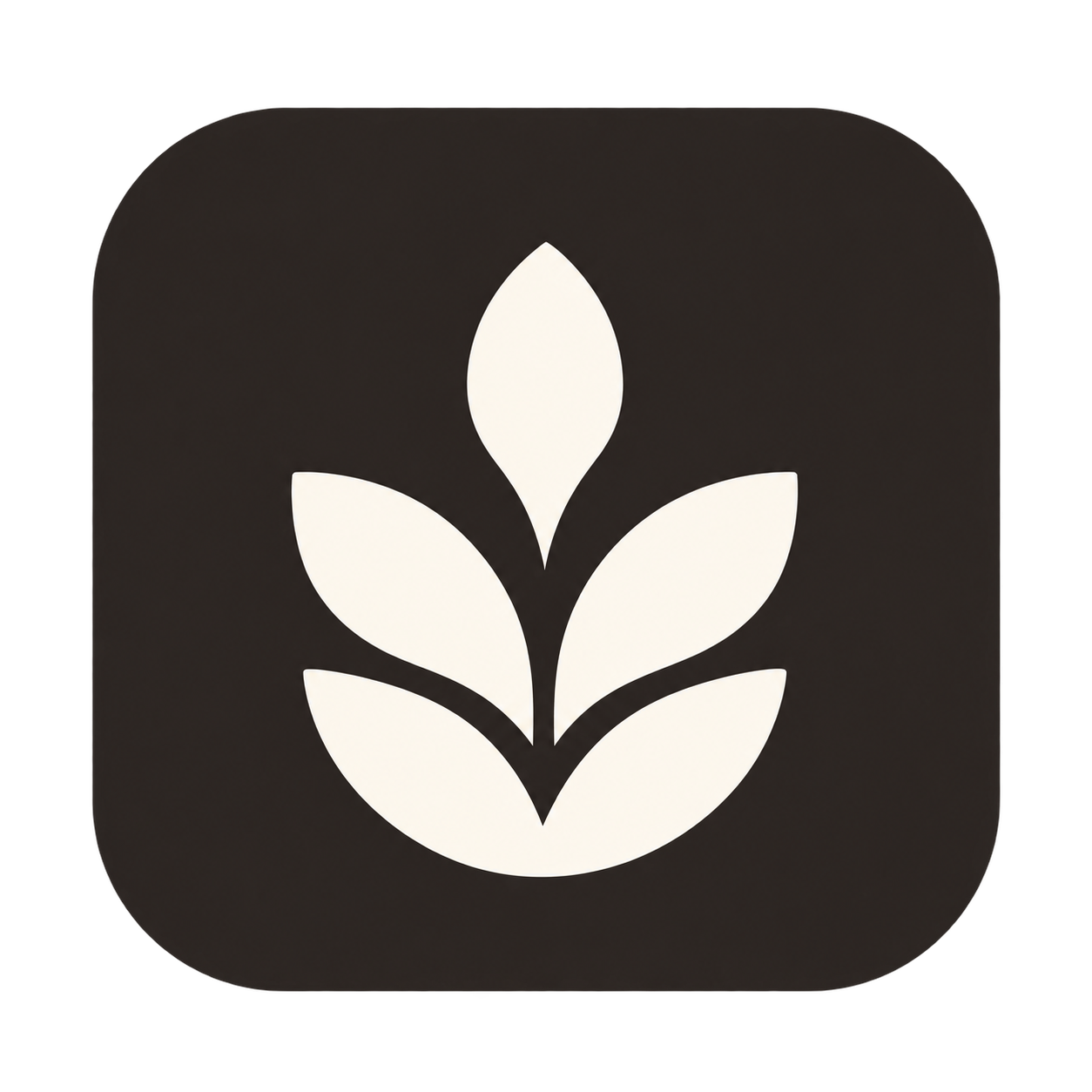 Ikigai OS logo