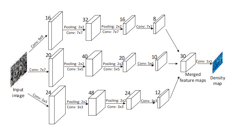 MCNN Architecture