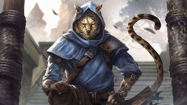 Hero cat