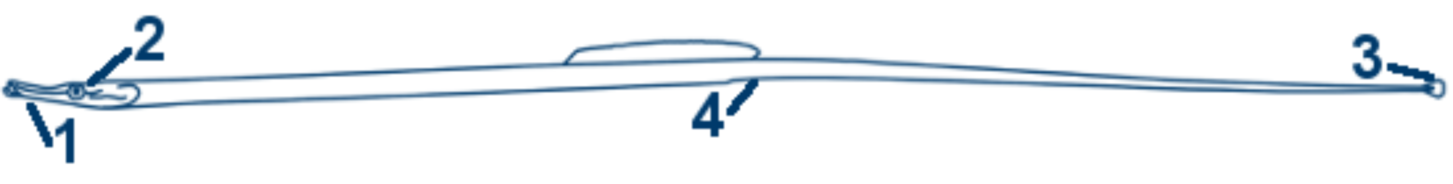 Grosse Schlangennadel schematische Zeichnung