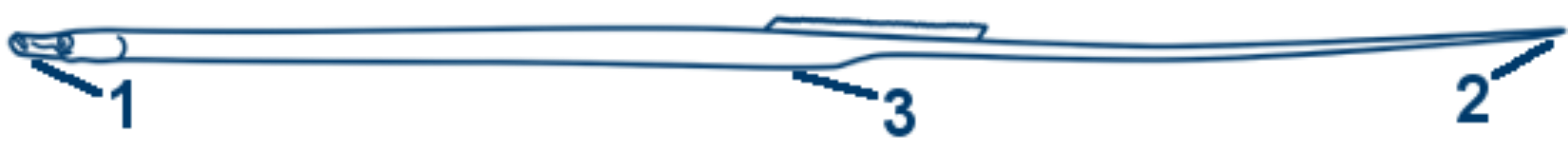 Kleine Schlangennadel schematische Zeichnung