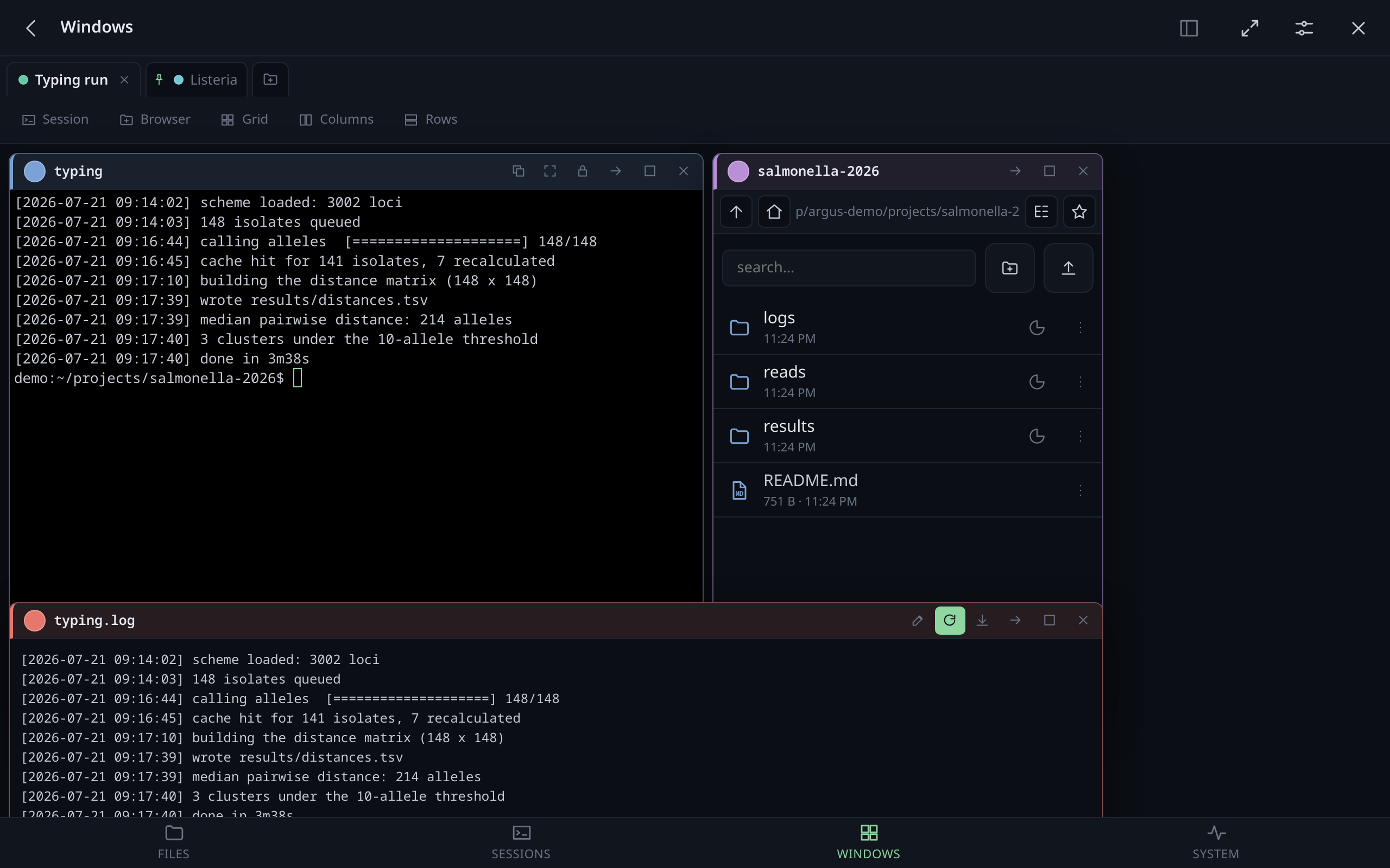 A workspace holding a terminal, a file browser and a log