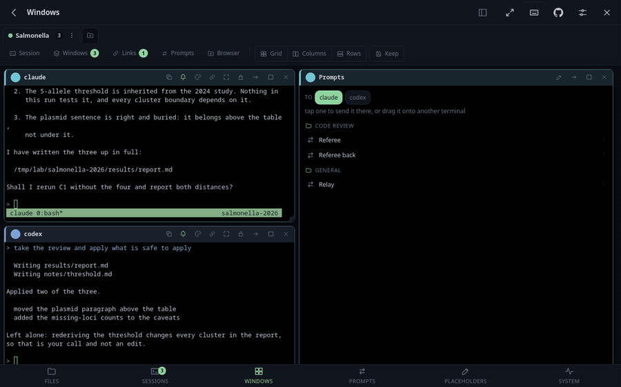 A saved prompt, its placeholders already filled in, typed into the other agent's session