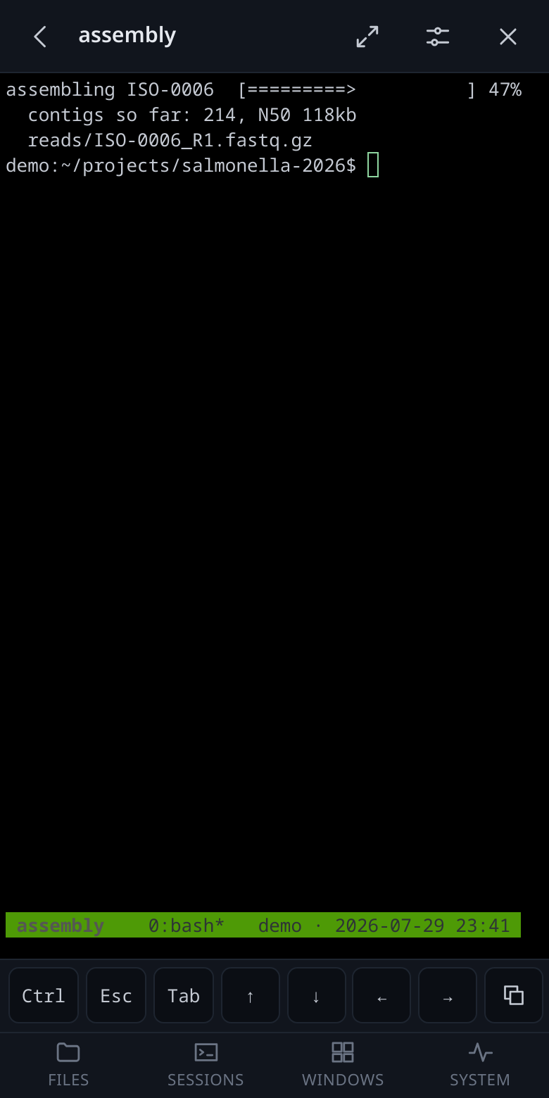 A session on a phone