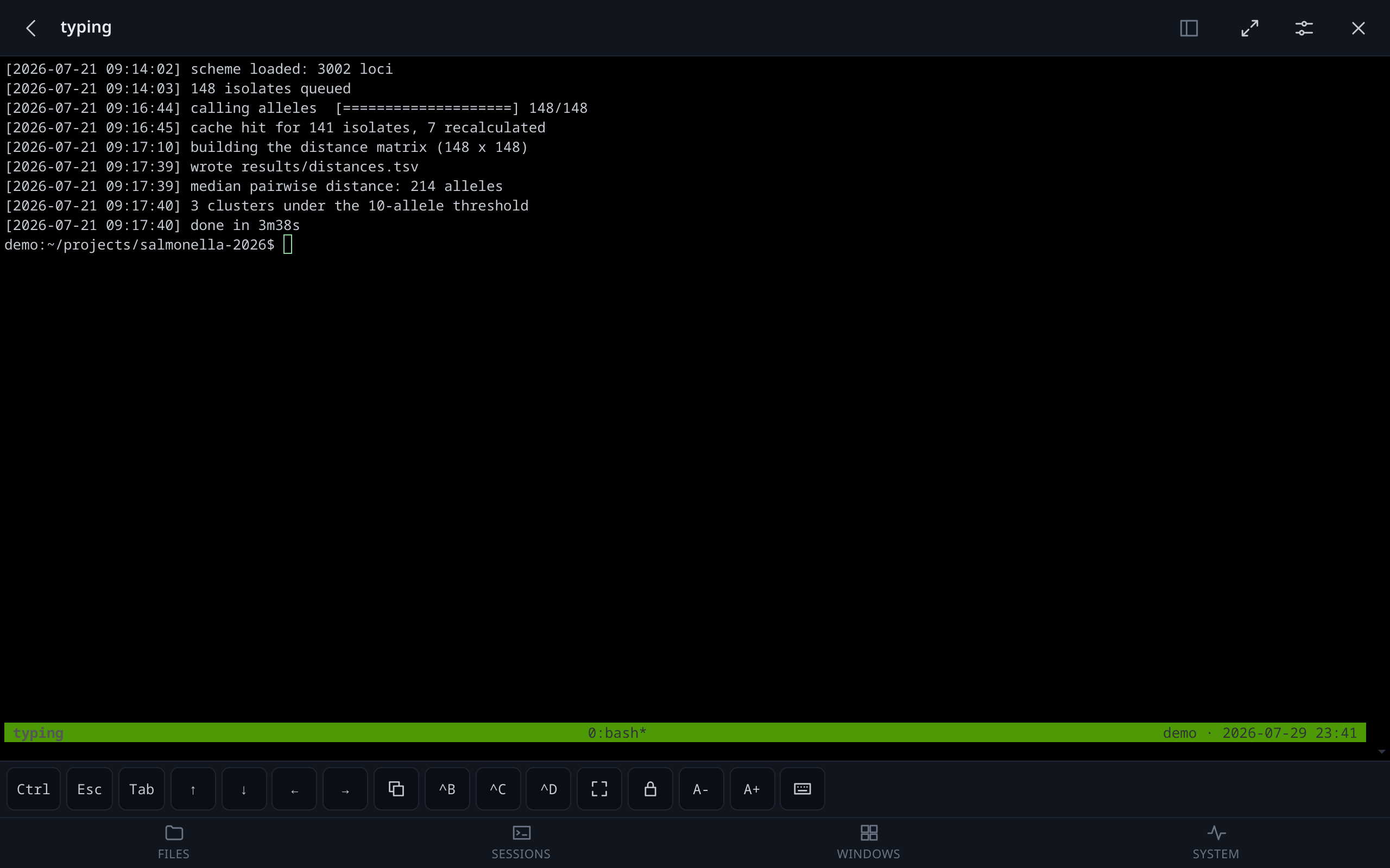 A session attached, with a key bar for the modifiers a phone lacks