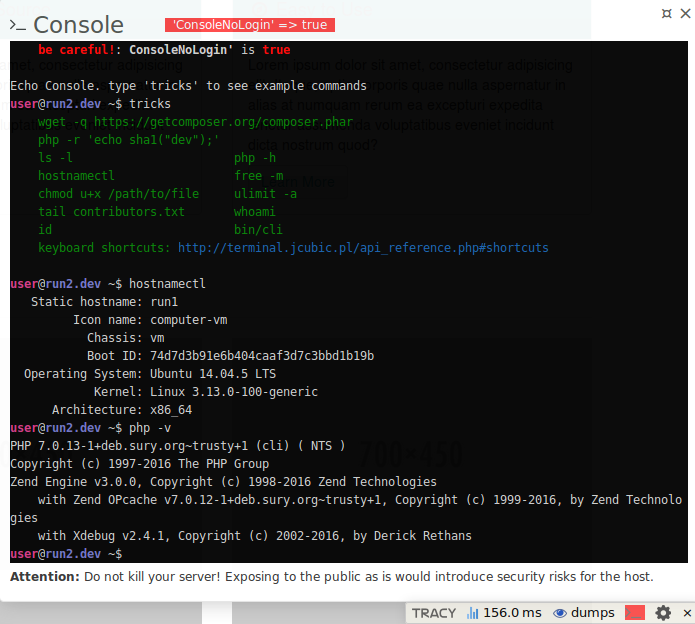 PTY Console Panel example