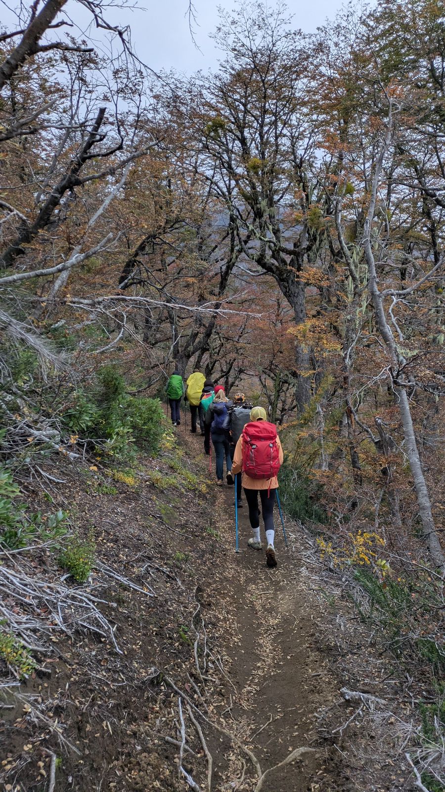 Trekking Patagonia