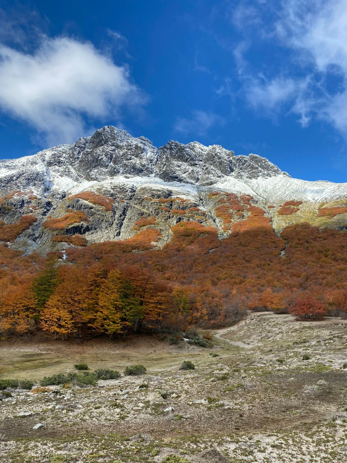 Trekking Patagonia