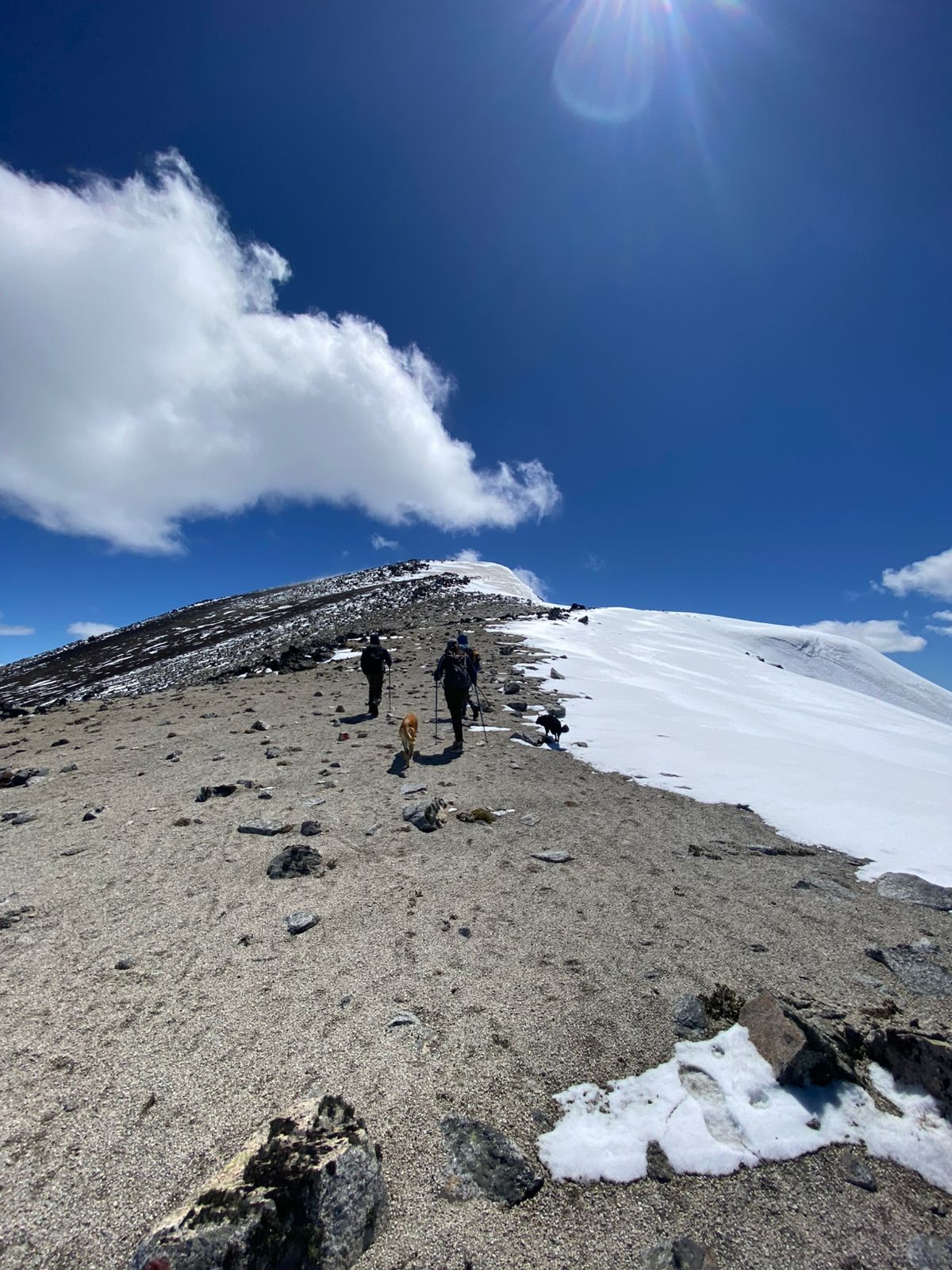 Trekking Patagonia