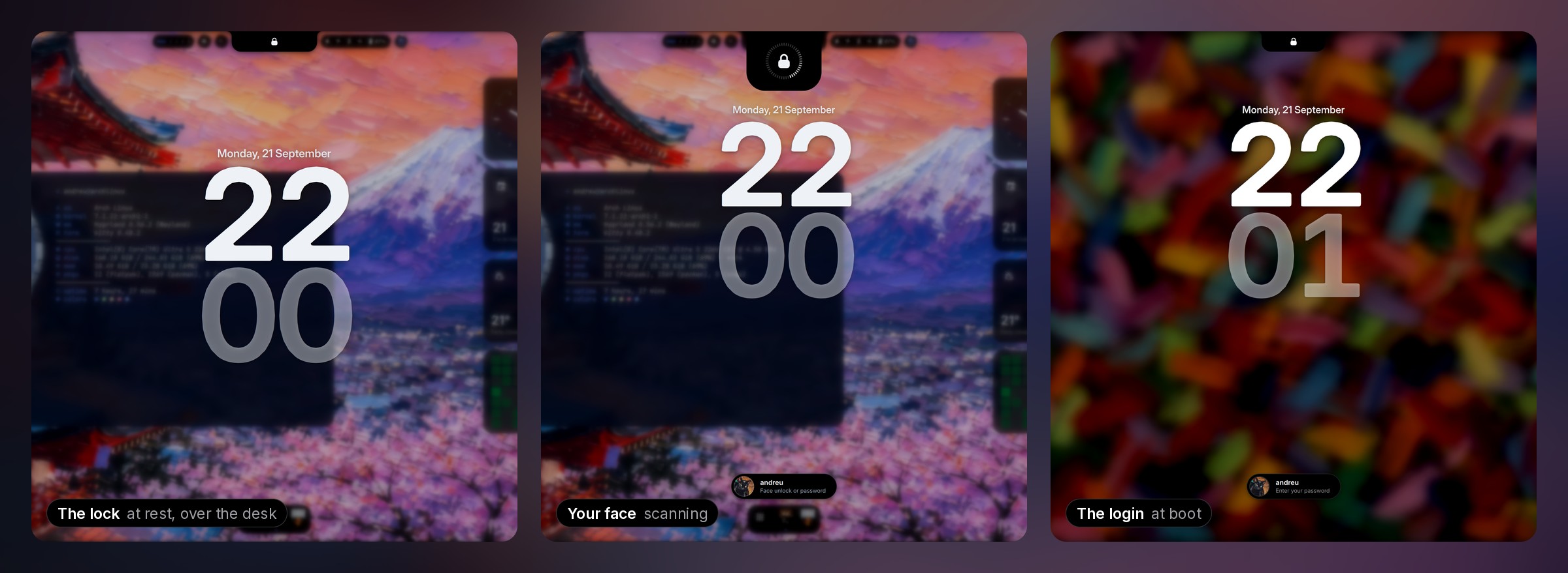 The lock screen resting on its clock over the blurred desk, the island growing round the padlock while it looks for a face, and the SDDM login screen over a blurred painting — the same island, clock and pill