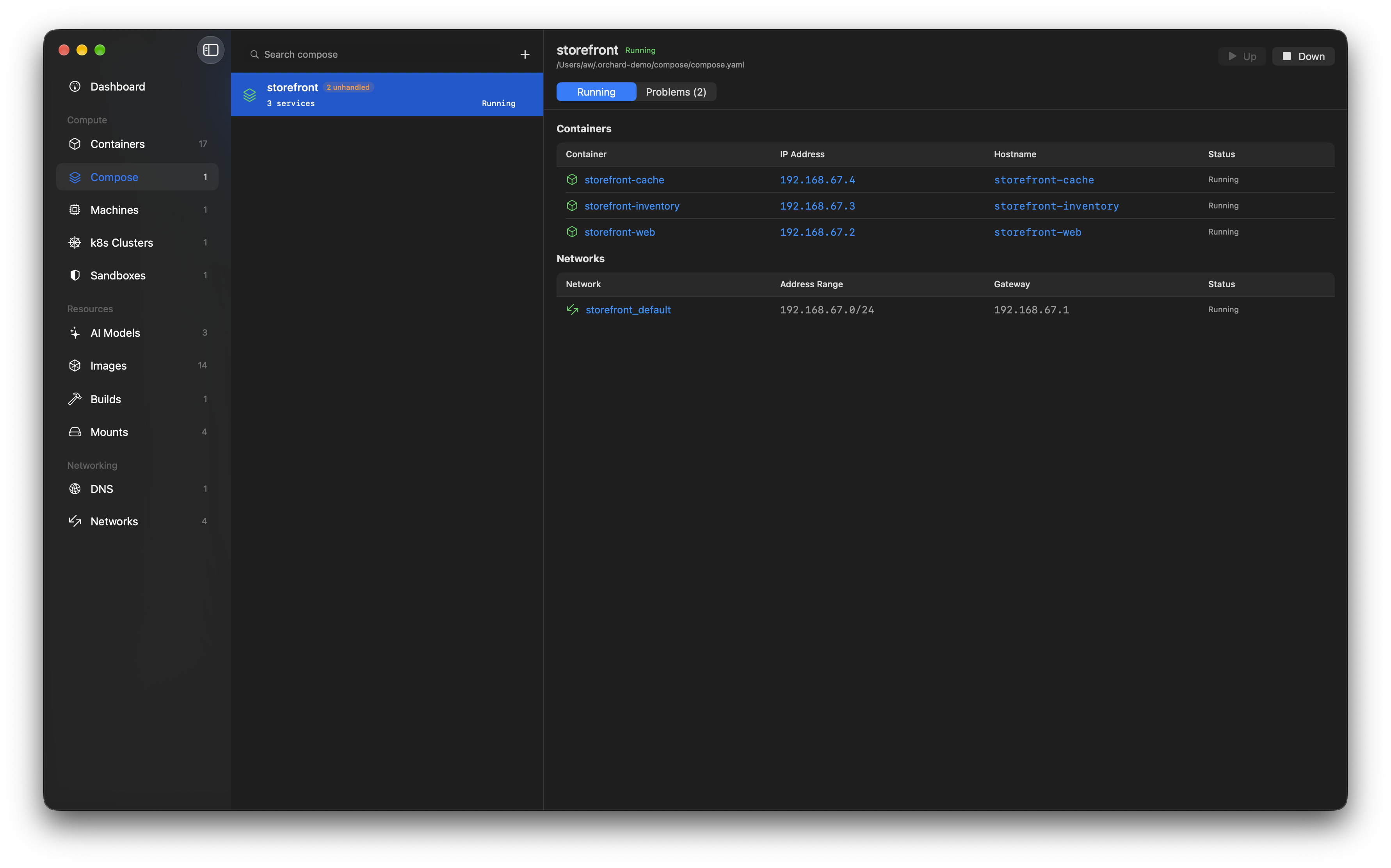 A compose project in Orchard - services with their IP addresses and hostnames, and the network the project created