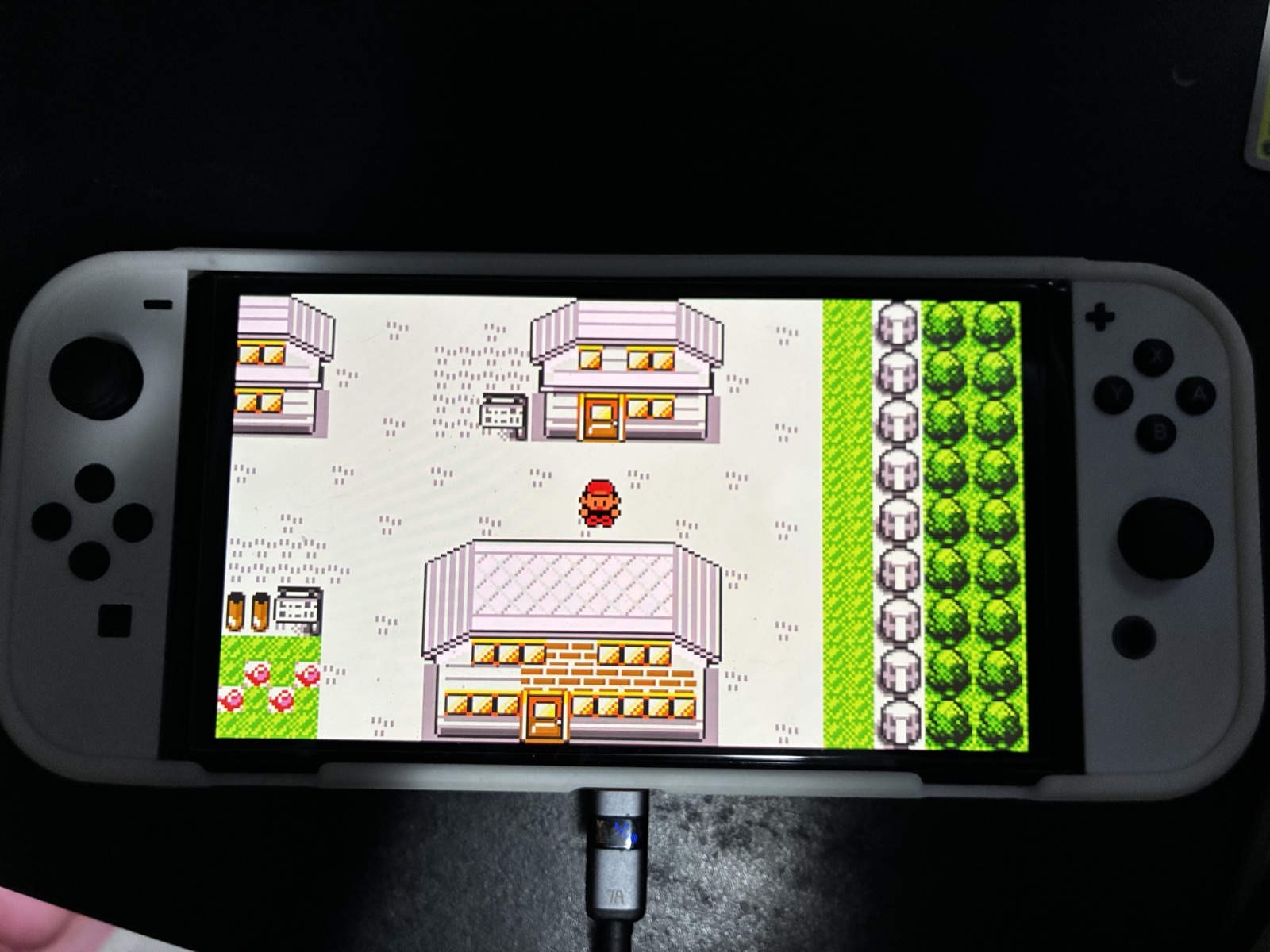Pokémon Red rodando no Nintendo Switch OLED