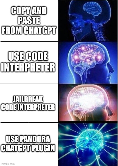 Pandoa vs Code Interpreter