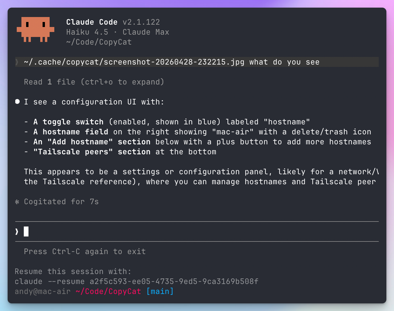 Claude Code reading a pasted screenshot path