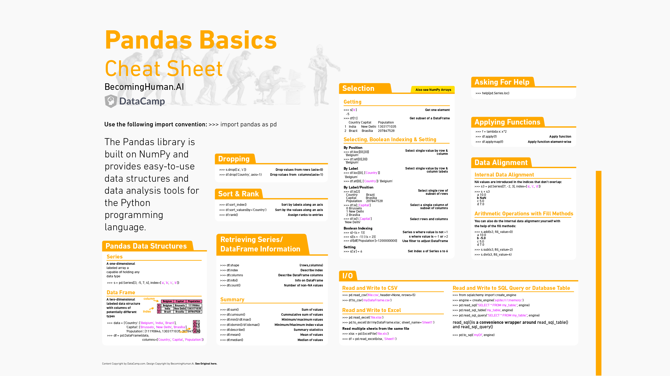 Pandas Basics