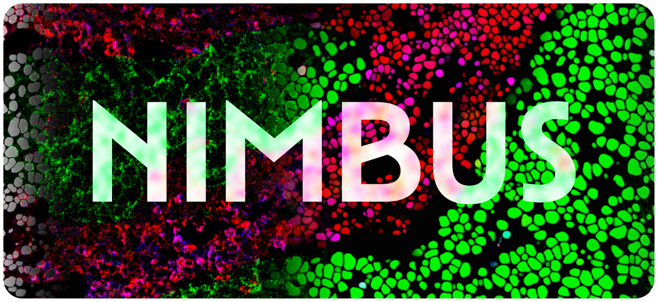 Nimbus Logo