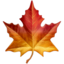 maple_leaf