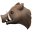 boar